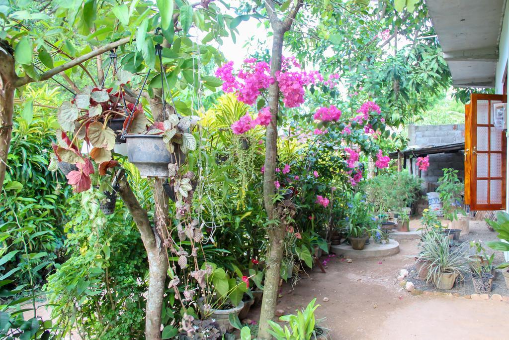 Hotel Nethum Rest Mirissa Exterior foto